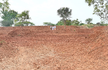 Environmental Conservation Activity